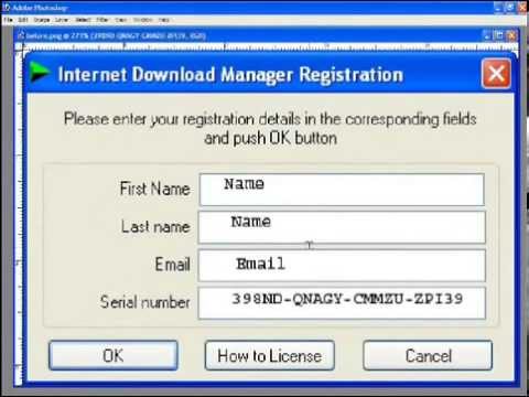 Internet Download Manager Serial Key 6.07 Free
